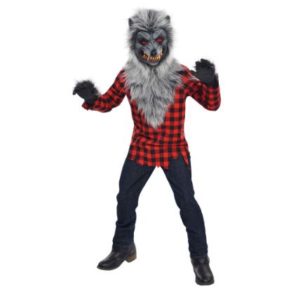 Picture of Amscan Hungry Howler Boys Halloween Costume, Medium