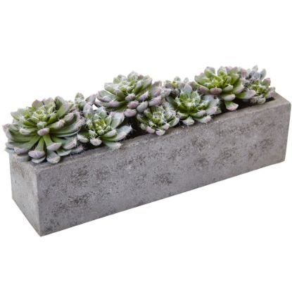 Picture of Nearly Natural Succulent 5-1/2inH Plastic Garden With Textured Concrete Planter, 5-1/2inH x 13-1/2inW x 4-1/2inD, Green