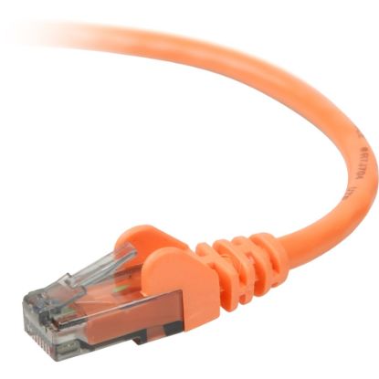 Picture of Belkin 900 Series Cat. 6 UTP Patch Cable - RJ-45 Male - RJ-45 Male - 3ft - Orange