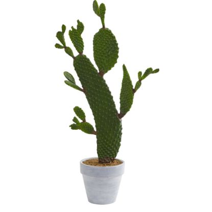 Picture of Nearly Natural Cactus 27inH Artificial Plant, 27inH x 11inW x 6inD, Green