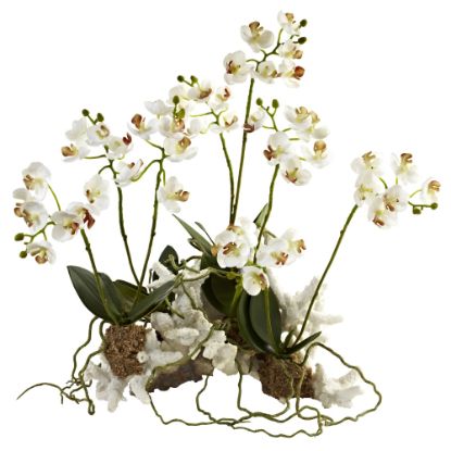 Picture of Nearly Natural Mini Phalaenopsis Orchids 14inH Plastic Plant Arrangement With Coral Base, 14inH x 13inW x 8-1/2inD, White