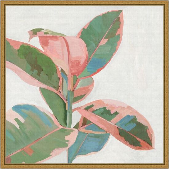 Picture of Amanti Art Pink Ficus I by Asia Jensen Framed Canvas Wall Art Print, 16in x 16in, Gold