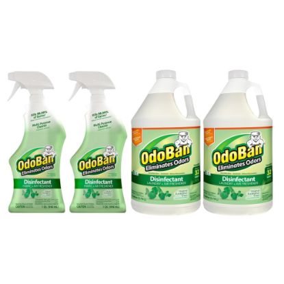 Picture of OdoBan Odor Eliminator Disinfectant, Original Eucalyptus Scent, Case Of 2 Quart Sprays And 2 Gallon Concentrates