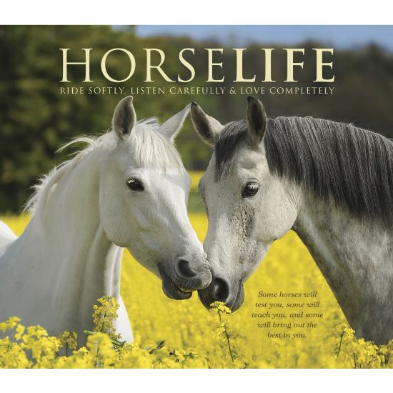 Picture of Willow Creek Press 7in x 8in Hardcover Gift Book, Horse Life