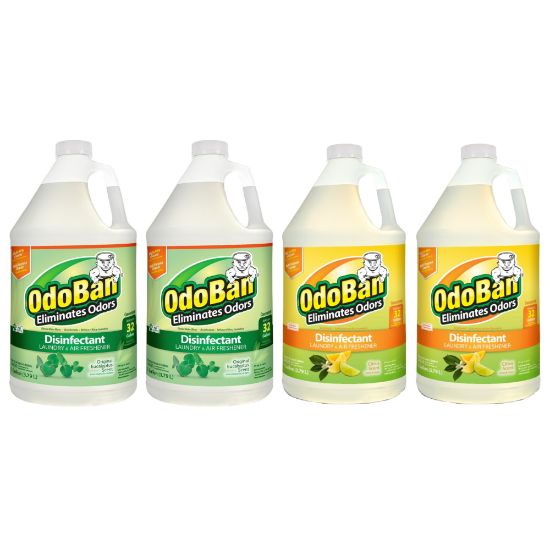 Picture of OdoBan Odor Eliminator Disinfectant Concentrate, 128 Oz, Case Of 2 Eucalyptus Scent Jugs And 2 Citrus Scent Jugs