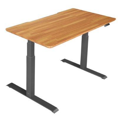 Picture of Vari Electric 48inW Standing Desk, Butcher Block