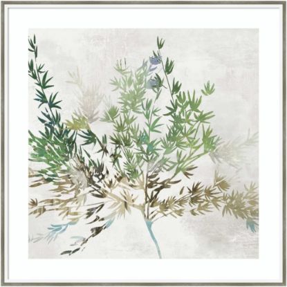 Picture of Amanti Art Olive Branch by Asia Jensen Wood Framed Wall Art Print, 33inW x 33inH, White