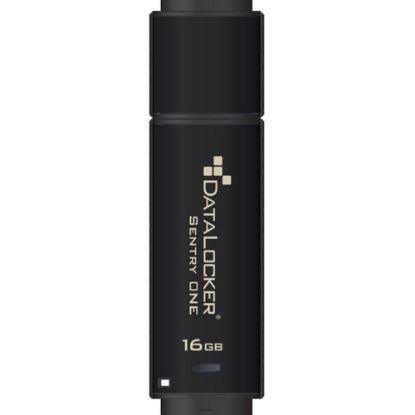 Picture of DataLocker Sentry ONE Encrypted Flash Drive - 16 GB - USB 3.1 - 256-bit AES - 5 Year Warranty - TAA Compliant