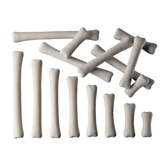 Picture of Yellow Door Dinosaur Bones Match & Measure 16-Piece Set, White, Pre-K to Grade 1