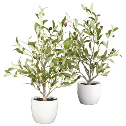 Picture of Nearly Natural 18inH Silk Olive Trees With Vases, Green/White, Set Of 2 Trees