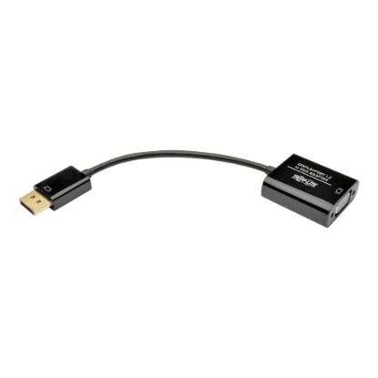 Picture of Tripp Lite DisplayPort 1.2 to VGA Active Adapter Converter M/F 6in DP to VGA 50 Pack - Video converter - DisplayPort - VGA - black - bulk (pack of 50)