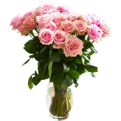 Picture of Rose Farmers Bi-Color Eyecatcher Long Stem Roses, Pink, Box Of 12 Roses