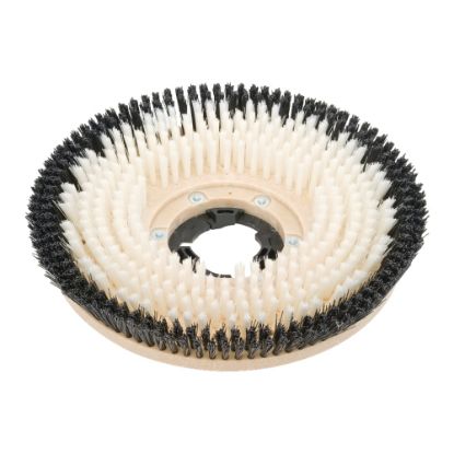 Picture of Clarke Nylon Carpet Brush For CFP 170 And CFP 1700