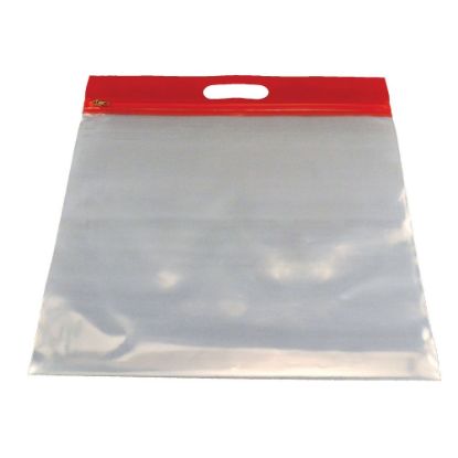 Picture of Bags of Bags ZIPAFILE Storage Bag, Red, Pack of 25