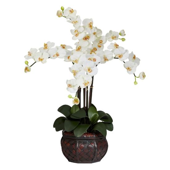 Picture of Nearly Natural 31inH Silk Phalaenopsis Arrangement With Decorative Pot, Cream