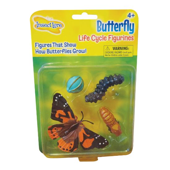 Picture of Insect Lore Butterfly Life Cycle Stages, Pre-K - Grade 6