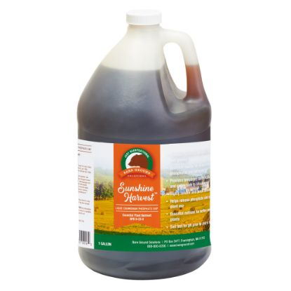 Picture of Just Scentsational Sunshine Harvest Liquid DAP Fertilizer, 1 Gallon