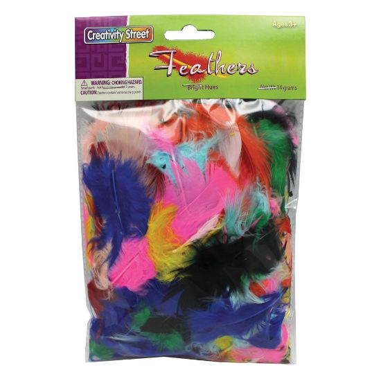 Picture of Creativity Street Plastic Turkey Plumage Feathers, Bright Hues, Set Of 12 Packs