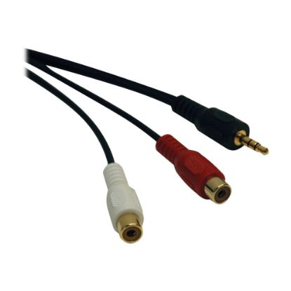 Picture of Tripp Lite Mini Stereo To 2RCA Audio Y Splitter Adapter Cable