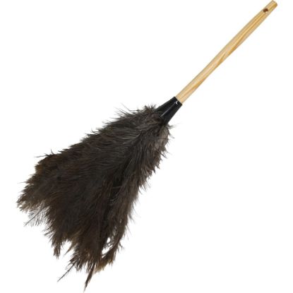 Picture of Genuine Joe Feather Duster - 1 Each