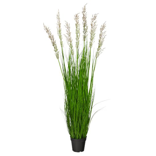 Picture of Nearly Natural Plume Grass 54inH Artificial Plant With Planter, 54inH x 18inW x 18inD, Green/Black