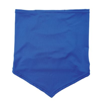 Picture of Ergodyne Chill-Its 6483 Cooling Neck Gaiter Bandana Pocket, L/XL, Blue