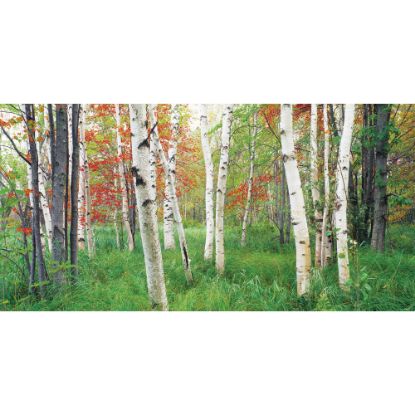 Picture of Biggies Wall Mural, 27in x 54in, Aspen Grove