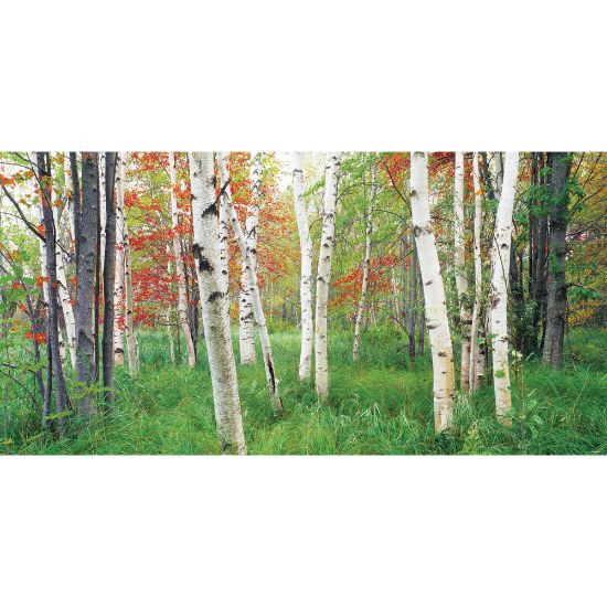 Picture of Biggies Wall Mural, 27in x 54in, Aspen Grove