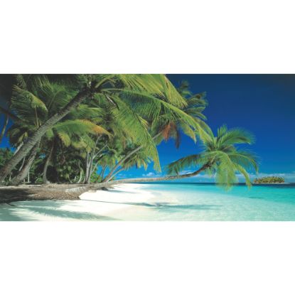 Picture of Biggies Wall Mural, 27in x 54in, Beach