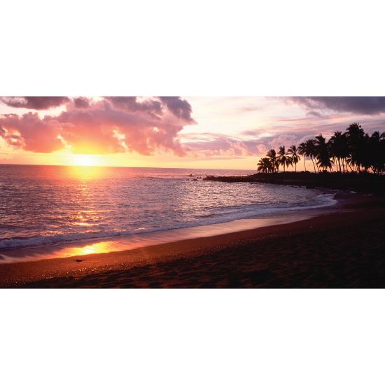 Picture of Biggies Wall Mural, 27in x 54in, Sunset