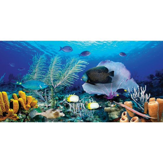 Picture of Biggies Wall Mural, 27in x 54in, Ocean Reef