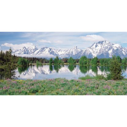 Picture of Biggies Wall Mural, 27in x 54in, Mountain Flower