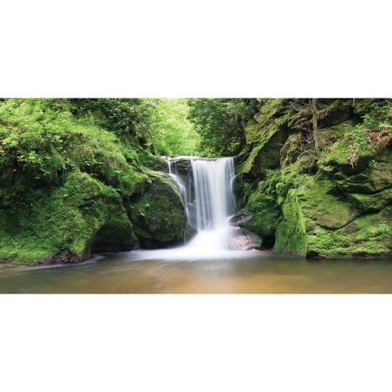 Picture of Biggies Wall Mural, 27in x 54in, Waterfall