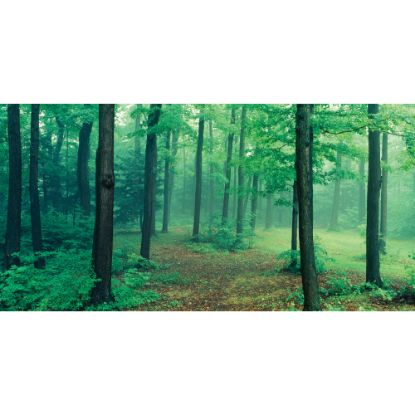 Picture of Biggies Wall Mural, 40in x 80in, Misty Forest