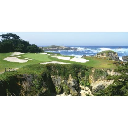 Picture of Biggies Wall Mural, 40in x 80in, Pebble Beach