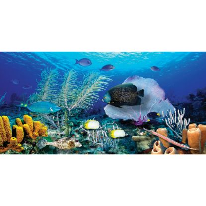 Picture of Biggies Wall Mural, 40in x 80in, Ocean Reef