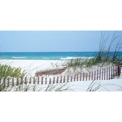 Picture of Biggies Wall Mural, 60in x 120in, Carolina Coast