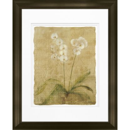 Picture of Timeless Frames Katrina Framed Floral Artwork, 11in x 14in, Brown, Orchid