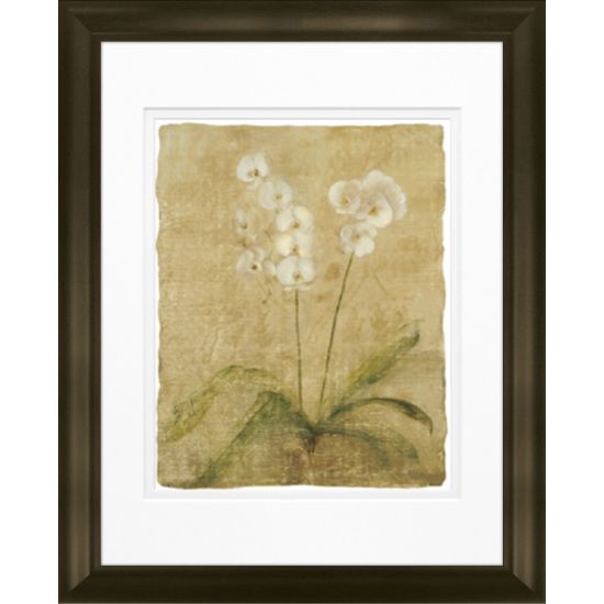 Picture of Timeless Frames Katrina Framed Floral Artwork, 11in x 14in, Brown, Orchid