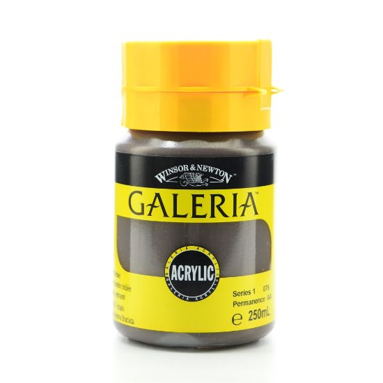 Picture of Winsor & Newton Galeria Flow Formula Acrylic Colors, 250 mL, Burnt Umber, 76, Pack Of 2