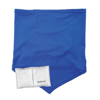 Picture of Ergodyne Chill-Its 6482 Cooling Neck Gaiter Bandana With Pocket/Ice Packs, S/M, Blue