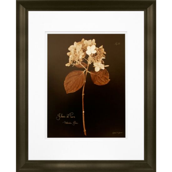 Picture of Timeless Frames Marren Espresso-Framed Floral Artwork, 16in x 20in, Hydrangea