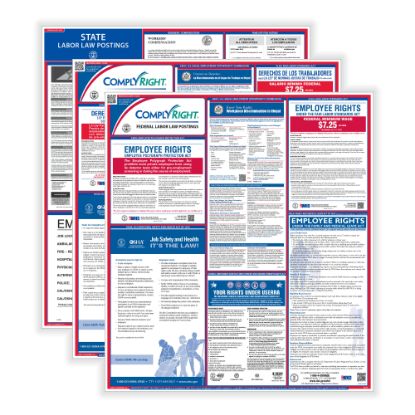 Picture of ComplyRight Federal (Bilingual) And State (English) Labor Law 1-Year Poster Service, New Hampshire