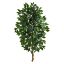 Picture of Nearly Natural Single Ficus 48inH Artificial Plant, 48inH x 10inW x 10inD, Green