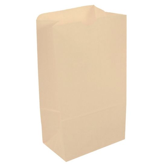 Picture of JAM Paper Kraft Lunch Bags, 11inH x 6inW x 3-3/4inD, Ivory, Box Of 500 Bags