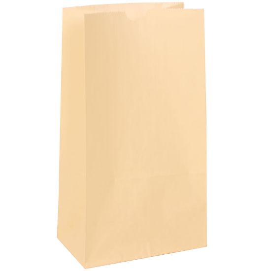 Picture of JAM Paper Medium Kraft Lunch Bags, 9-3/4inH x 5inW x 3inD, Ivory, Pack Of 500 Bags