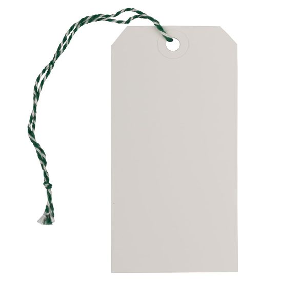 Picture of JAM Paper Medium Gift Tags, 4-3/4in x 2-3/8in, White/Green, Pack Of 10 Tags