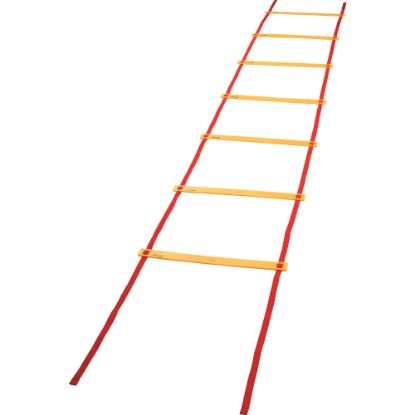 Picture of Champion Sports Economy Agility Ladder, 240inH x 20inW x 2inD, Red/Yellow