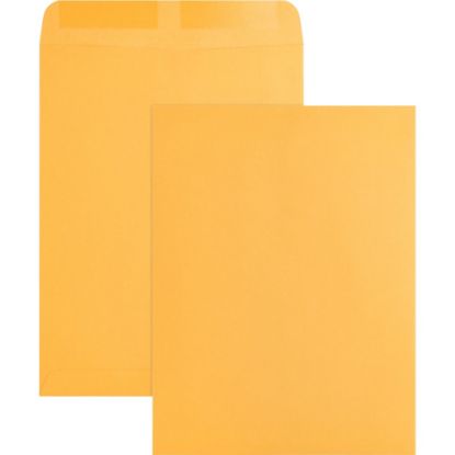 Picture of Business Source Kraft Gummed Catalog Envelopes - Catalog - #10 1/2 - 9in Width x 12in Length - 28 lb - Gummed - Kraft - 250 / Box - Kraft