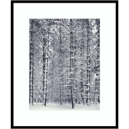 Picture of Amanti Art Pine Forest In The Snow Yosemite National Park by Ansel Adams Wood Framed Wall Art Print, 31inW x 37inH, Black